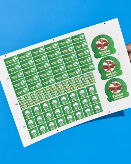 Picture of Stickers escolares | Dinosaurio Verde